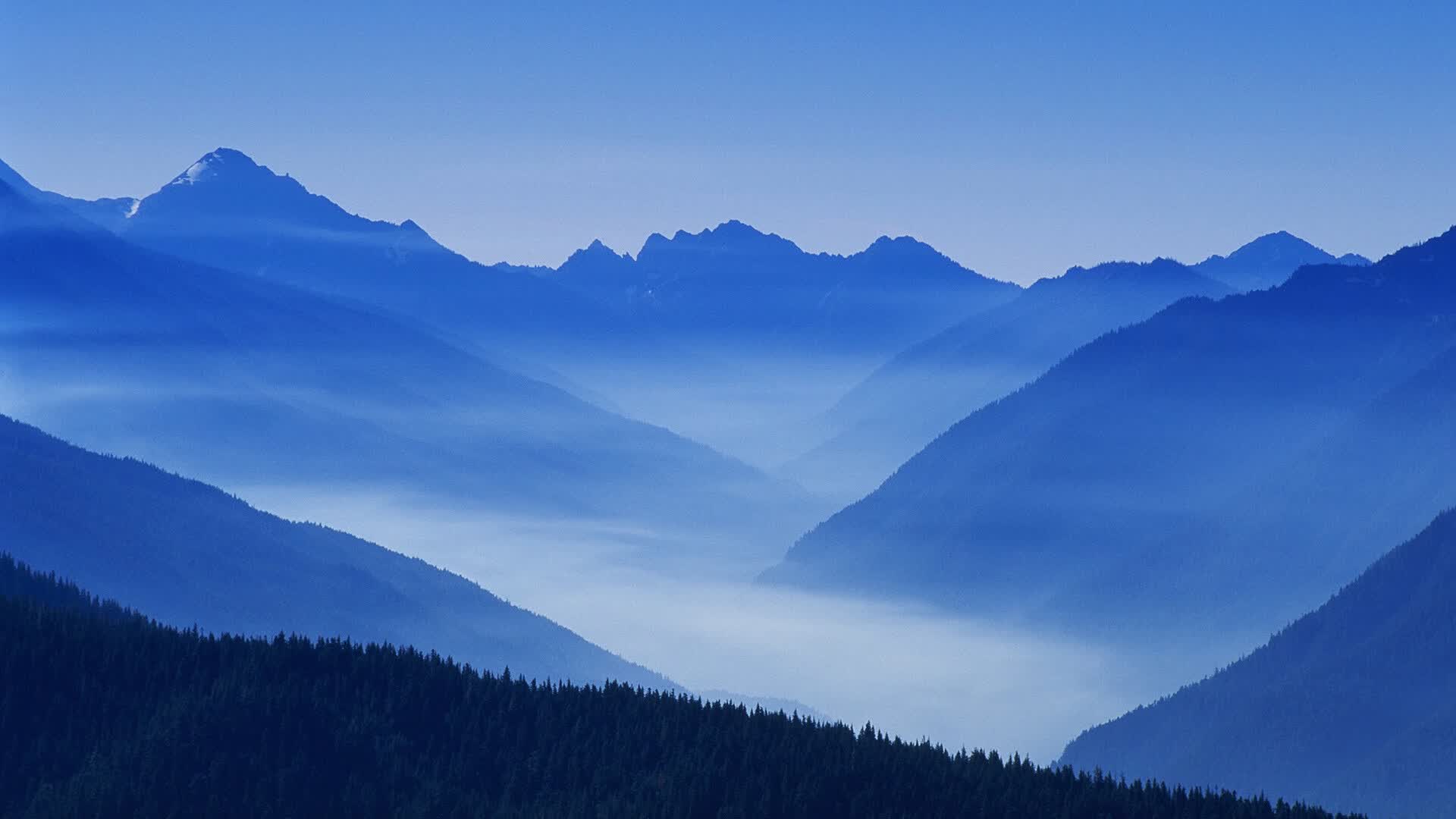 世界杯的队医:场边的第一道防线,世界杯队长